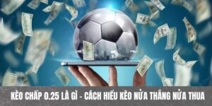 Kèo chấp 0.25 thể hiện rõ qua cơ chế chia đôi