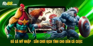 Đá Gà Mỹ Nhập - Sân Chơi Kịch Tính Cho Dân Cá Cược