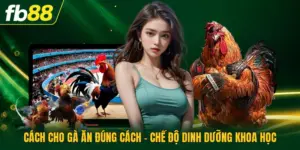 Cách Cho Gà Ăn Đúng Cách - Chế Độ Dinh Dưỡng Khoa Học