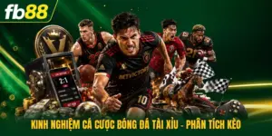 Kinh Nghiệm Cá Cược Bóng Đá Tài Xỉu - Phân Tích Kèo